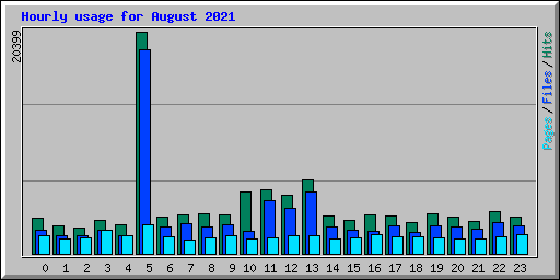 Hourly usage for August 2021