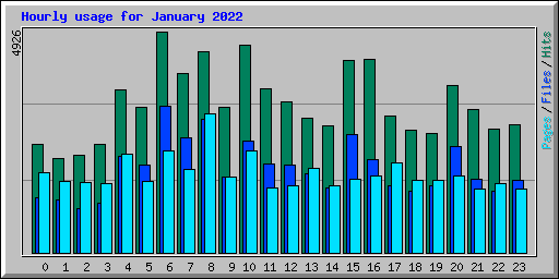 Hourly usage for January 2022